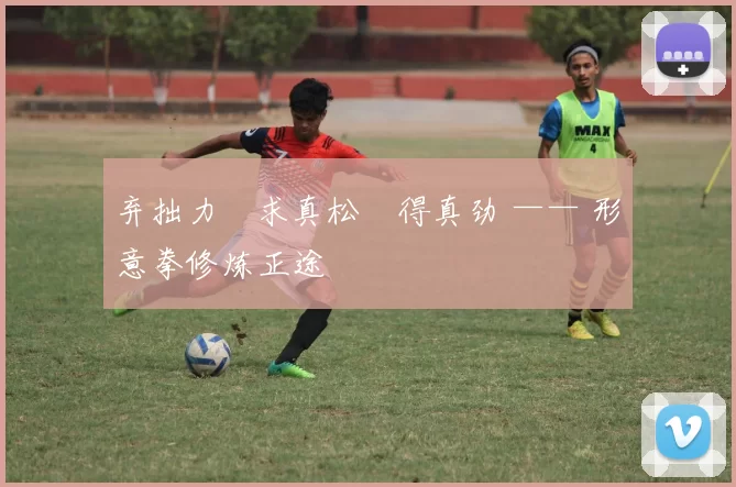 弃拙力・求真松・得真劲 —— 形意拳修炼正途