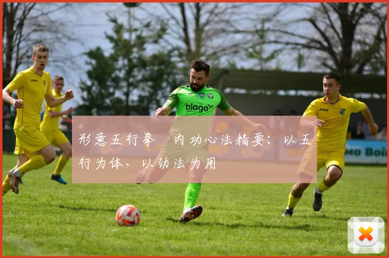 形意五行拳・内功心法精要：以五行为体，以劲法为用