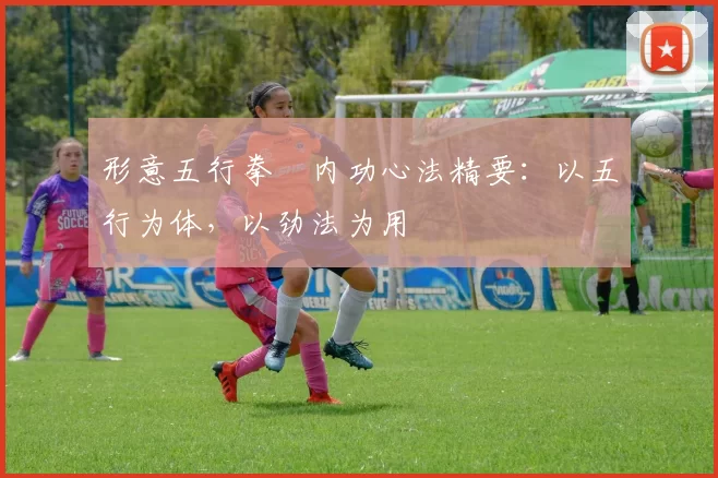 形意五行拳・内功心法精要：以五行为体，以劲法为用