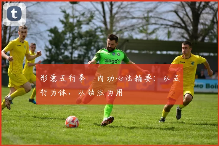 形意五行拳・内功心法精要:以五行为体,以劲法为用