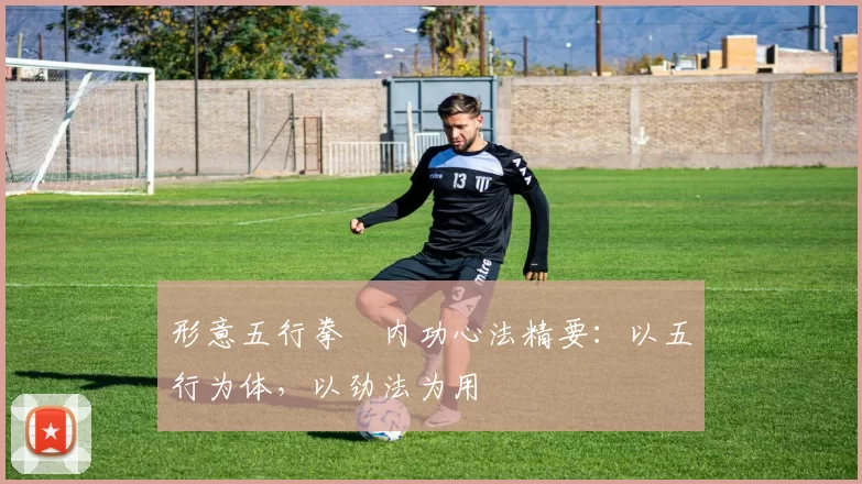 形意五行拳・内功心法精要：以五行为体，以劲法为用