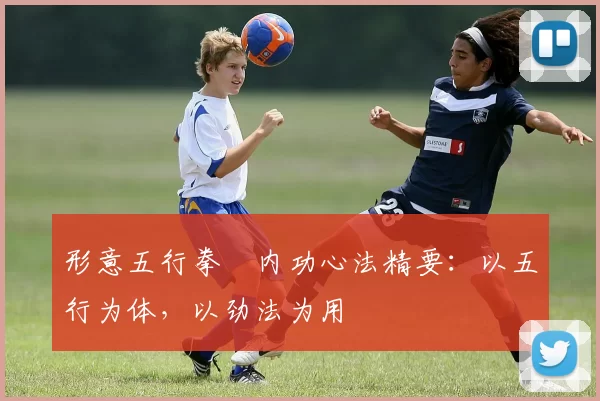 形意五行拳・内功心法精要：以五行为体，以劲法为用