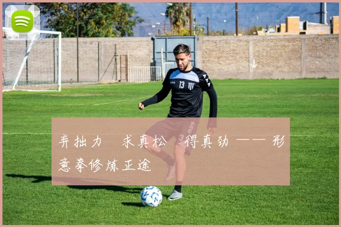 弃拙力・求真松・得真劲 —— 形意拳修炼正途