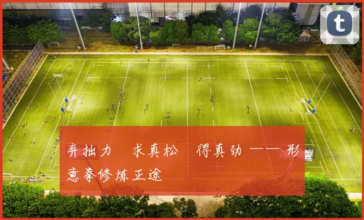 弃拙力・求真松・得真劲 —— 形意拳修炼正途