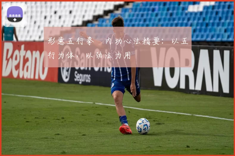 形意五行拳・内功心法精要：以五行为体，以劲法为用