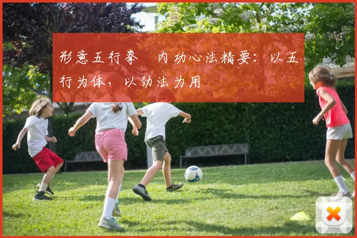 形意五行拳・内功心法精要：以五行为体，以劲法为用