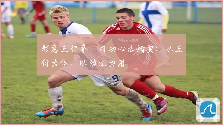 形意五行拳・内功心法精要:以五行为体,以劲法为用