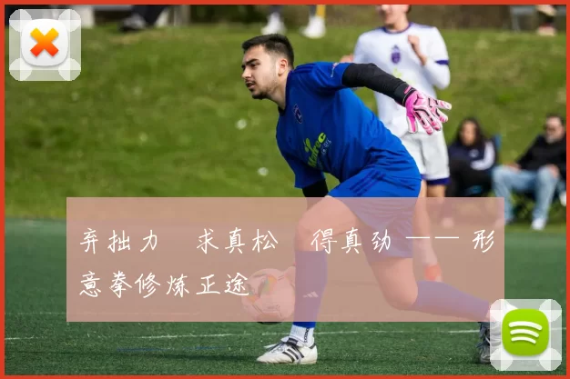 弃拙力・求真松・得真劲 —— 形意拳修炼正途