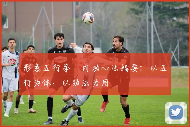 形意五行拳・内功心法精要：以五行为体，以劲法为用