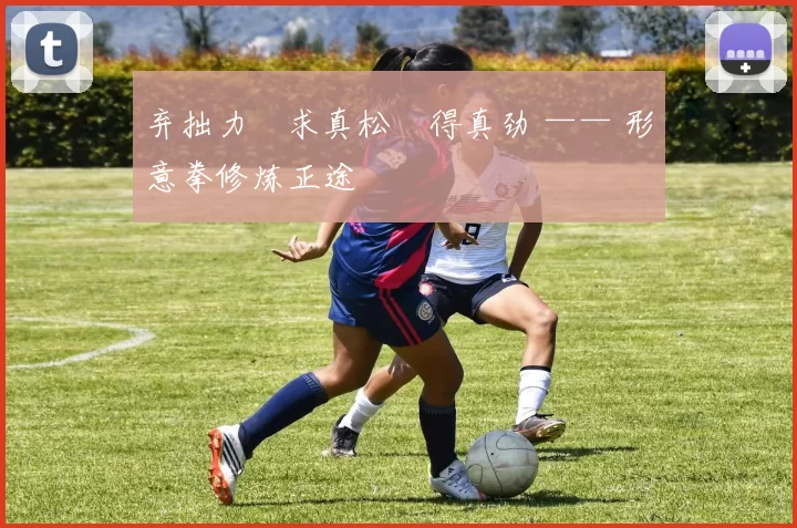 弃拙力・求真松・得真劲 —— 形意拳修炼正途