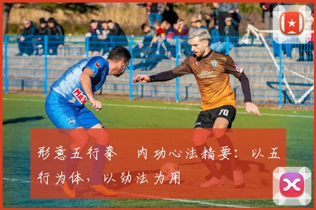 形意五行拳・内功心法精要:以五行为体,以劲法为用