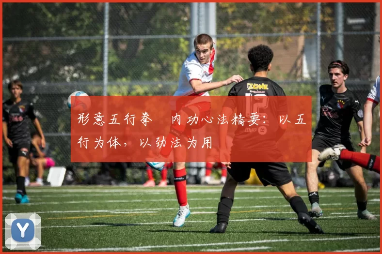 形意五行拳・内功心法精要：以五行为体，以劲法为用