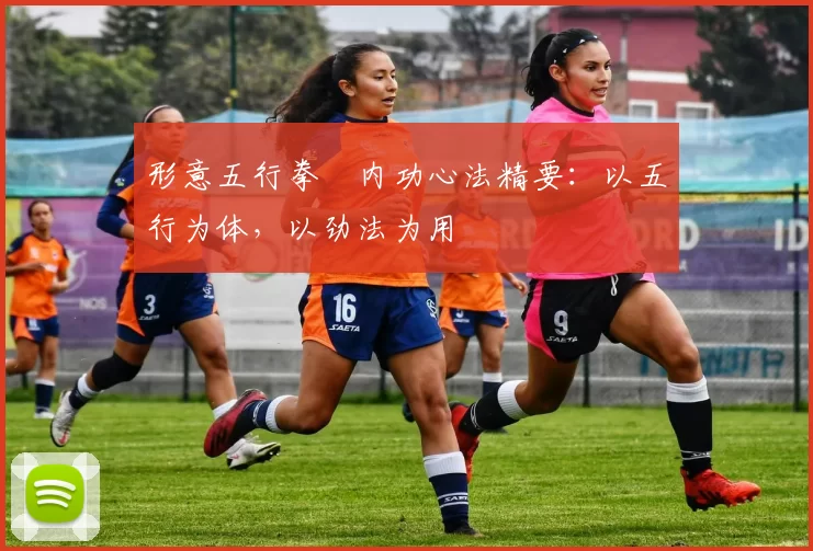 形意五行拳・内功心法精要：以五行为体，以劲法为用