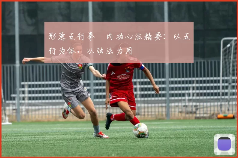 形意五行拳・内功心法精要：以五行为体，以劲法为用