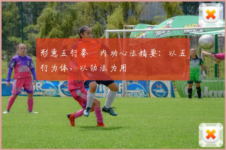 形意五行拳・内功心法精要：以五行为体，以劲法为用