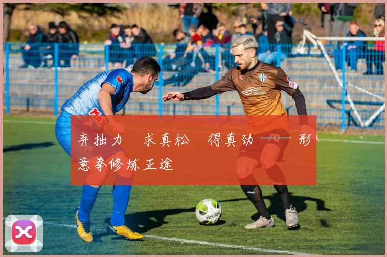 弃拙力・求真松・得真劲 —— 形意拳修炼正途