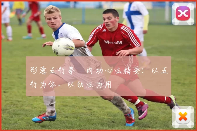 形意五行拳・内功心法精要：以五行为体，以劲法为用