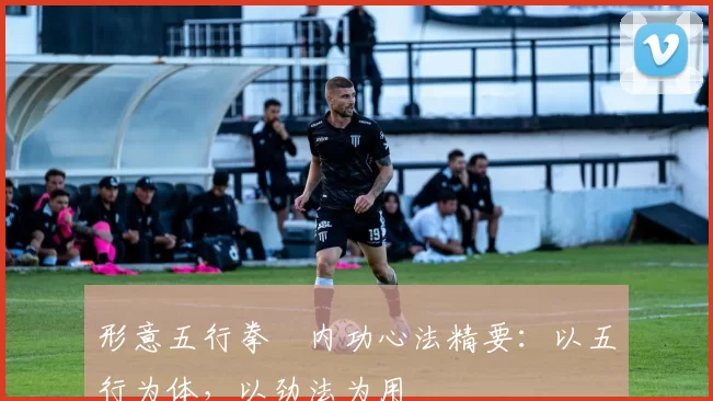 形意五行拳・内功心法精要：以五行为体，以劲法为用