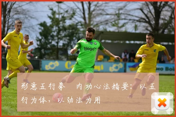 形意五行拳・内功心法精要：以五行为体，以劲法为用