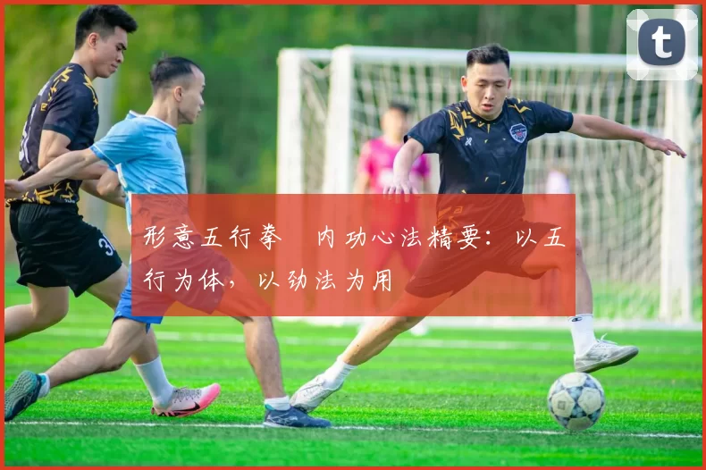 形意五行拳・内功心法精要：以五行为体，以劲法为用