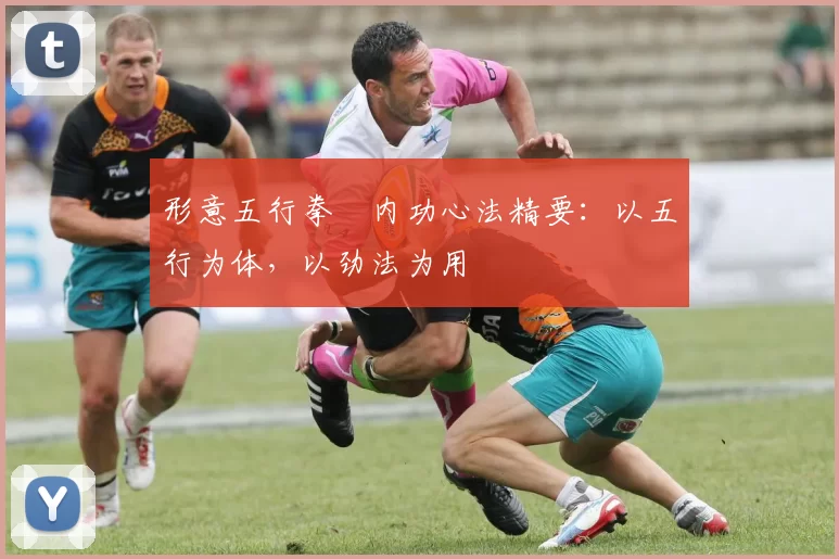 形意五行拳・内功心法精要：以五行为体，以劲法为用