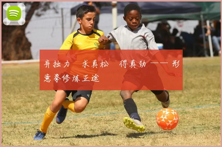 弃拙力・求真松・得真劲 —— 形意拳修炼正途