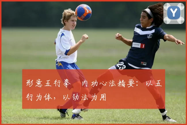 形意五行拳・内功心法精要：以五行为体，以劲法为用