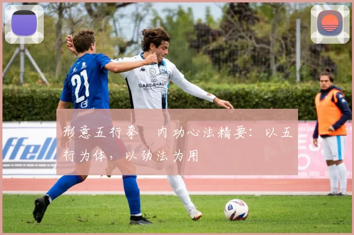 形意五行拳・内功心法精要：以五行为体，以劲法为用