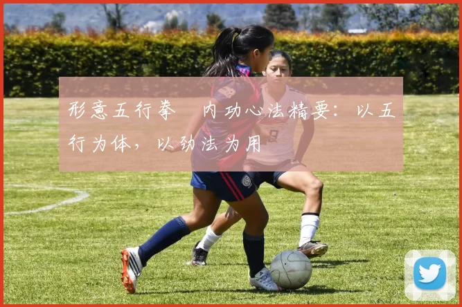 形意五行拳・内功心法精要:以五行为体,以劲法为用