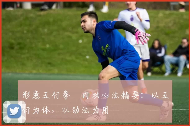 形意五行拳・内功心法精要：以五行为体，以劲法为用