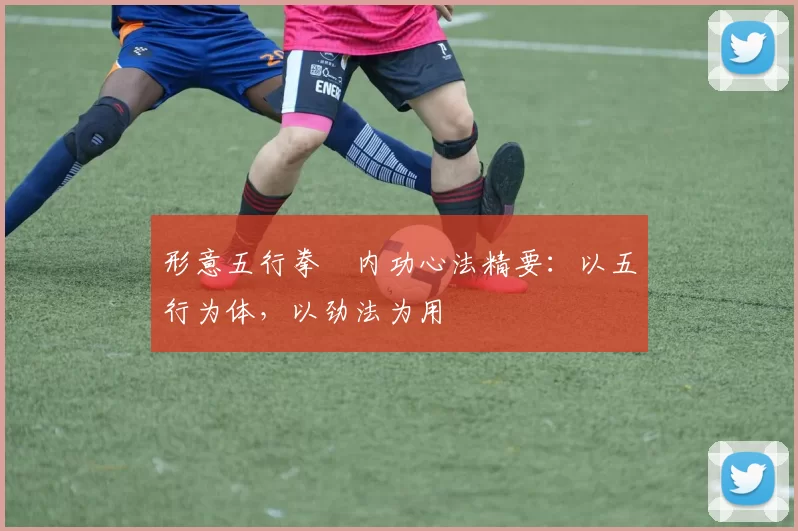 形意五行拳・内功心法精要：以五行为体，以劲法为用