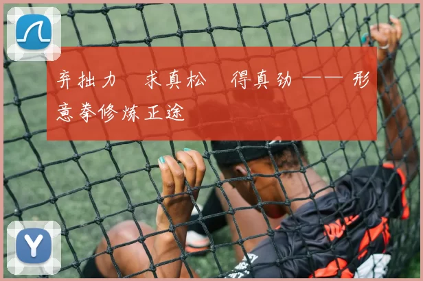 弃拙力・求真松・得真劲 —— 形意拳修炼正途