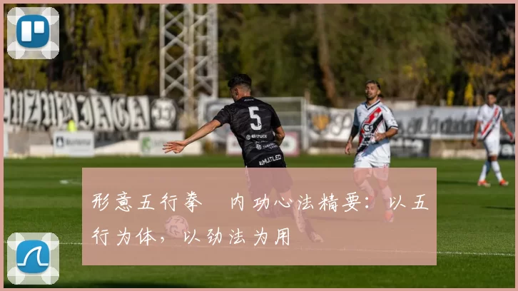 形意五行拳・内功心法精要：以五行为体，以劲法为用