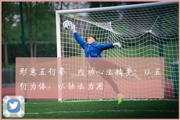 形意五行拳・内功心法精要：以五行为体，以劲法为用