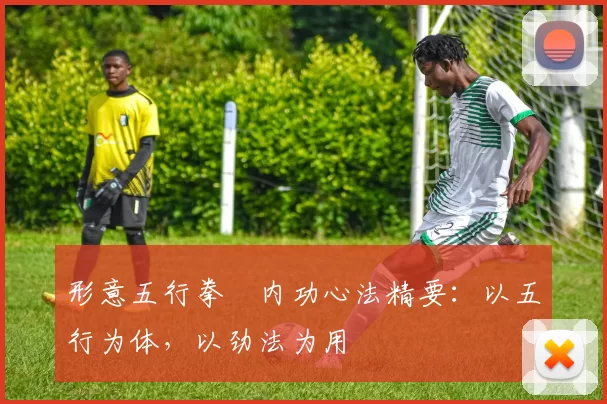 形意五行拳・内功心法精要：以五行为体，以劲法为用