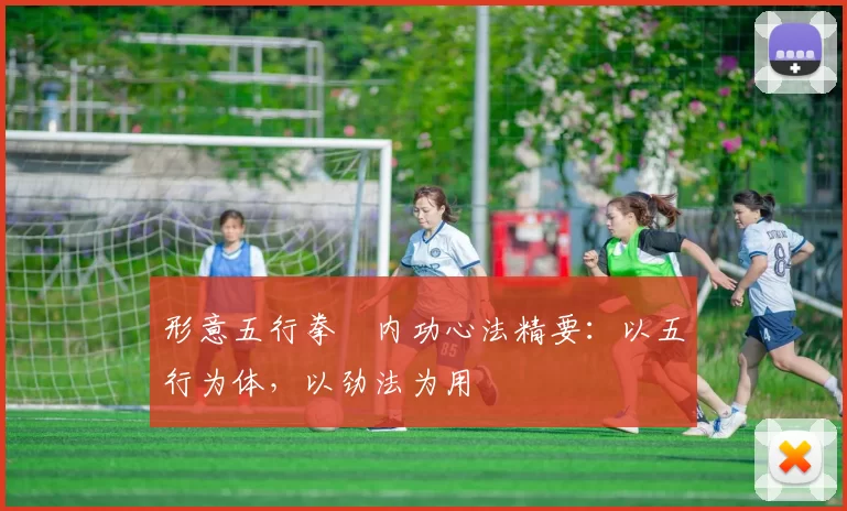 形意五行拳・内功心法精要：以五行为体，以劲法为用