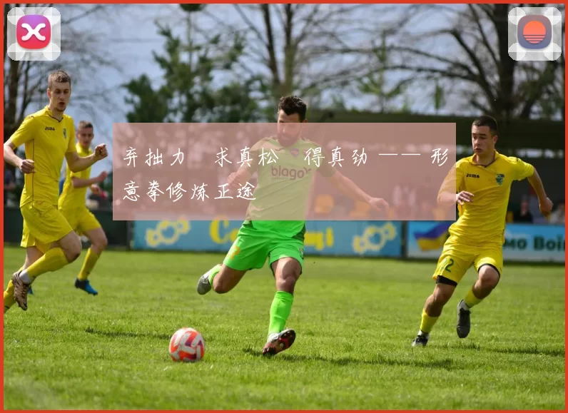弃拙力・求真松・得真劲 —— 形意拳修炼正途