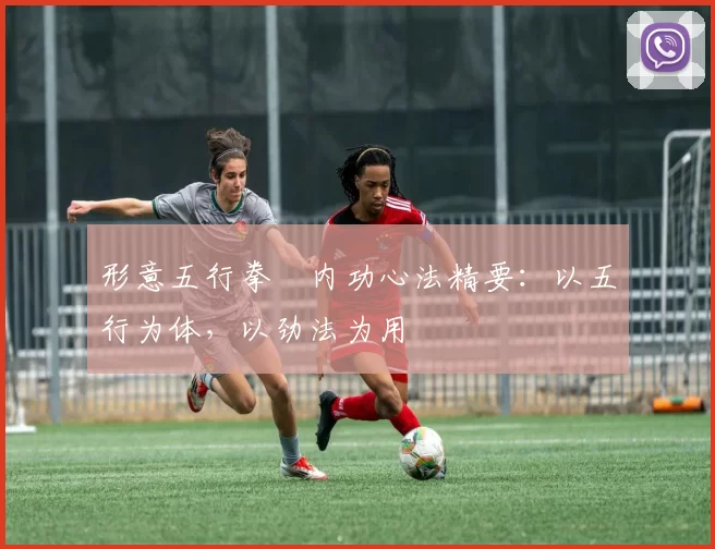 形意五行拳・内功心法精要:以五行为体,以劲法为用