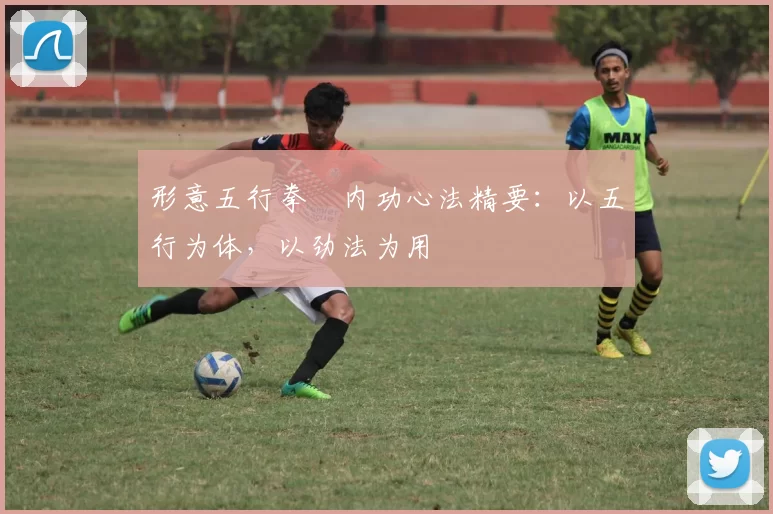 形意五行拳・内功心法精要:以五行为体,以劲法为用
