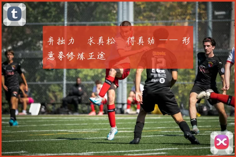 弃拙力・求真松・得真劲 —— 形意拳修炼正途