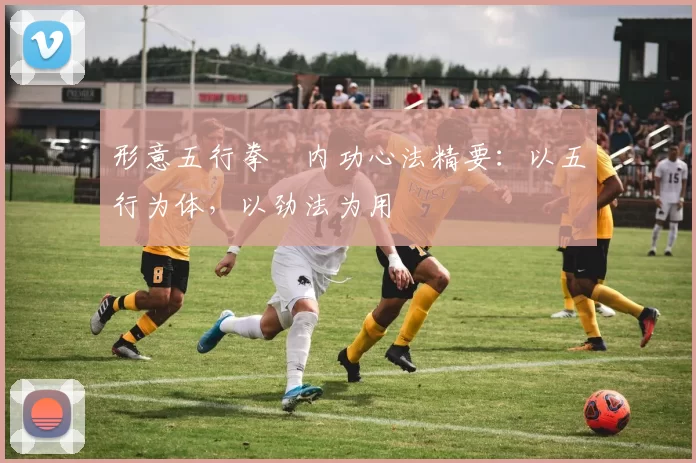 形意五行拳・内功心法精要：以五行为体，以劲法为用