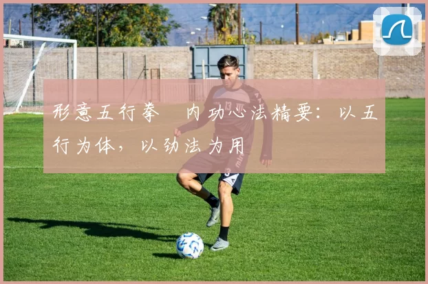 形意五行拳・内功心法精要：以五行为体，以劲法为用