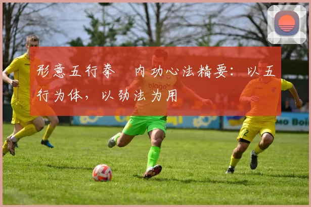 形意五行拳・内功心法精要:以五行为体,以劲法为用