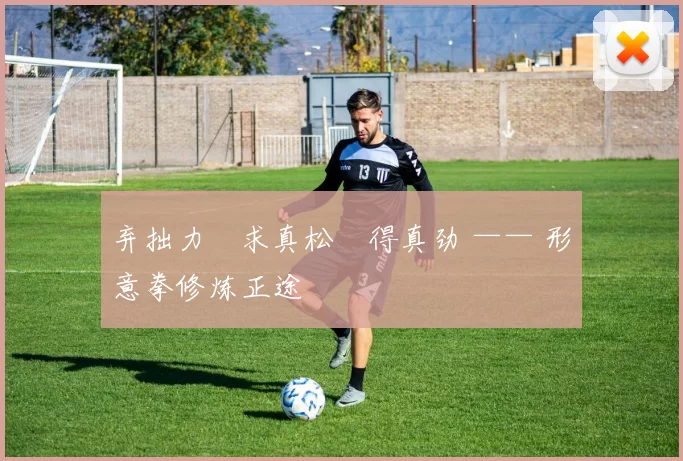 弃拙力・求真松・得真劲 —— 形意拳修炼正途