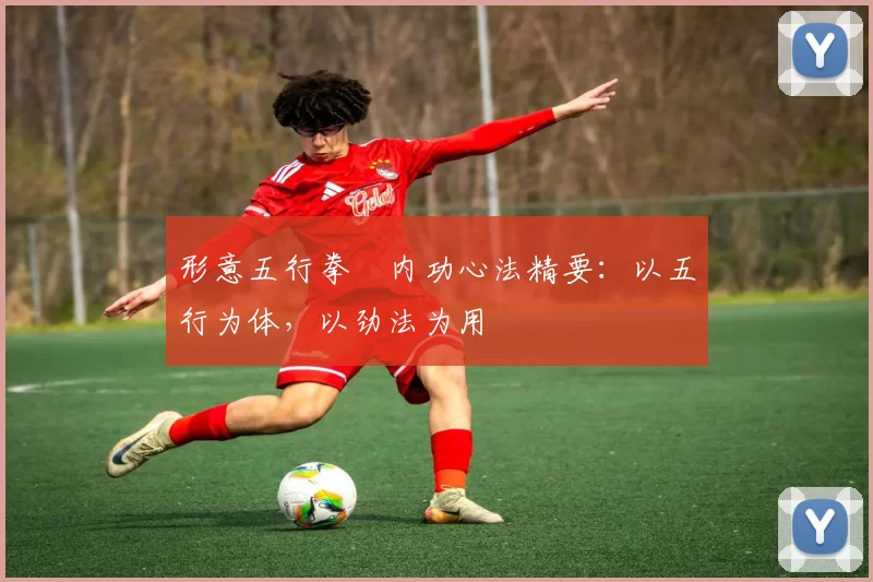 形意五行拳・内功心法精要:以五行为体,以劲法为用