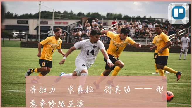 弃拙力・求真松・得真劲 —— 形意拳修炼正途