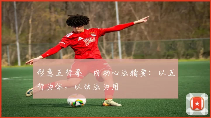 形意五行拳・内功心法精要：以五行为体，以劲法为用