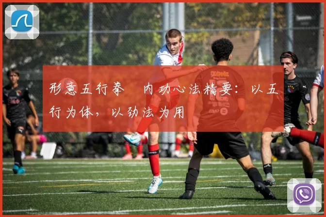 形意五行拳・内功心法精要:以五行为体,以劲法为用