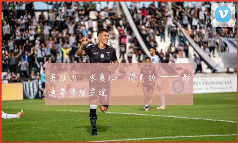 弃拙力・求真松・得真劲 —— 形意拳修炼正途