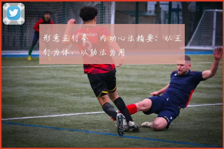 形意五行拳・内功心法精要:以五行为体,以劲法为用